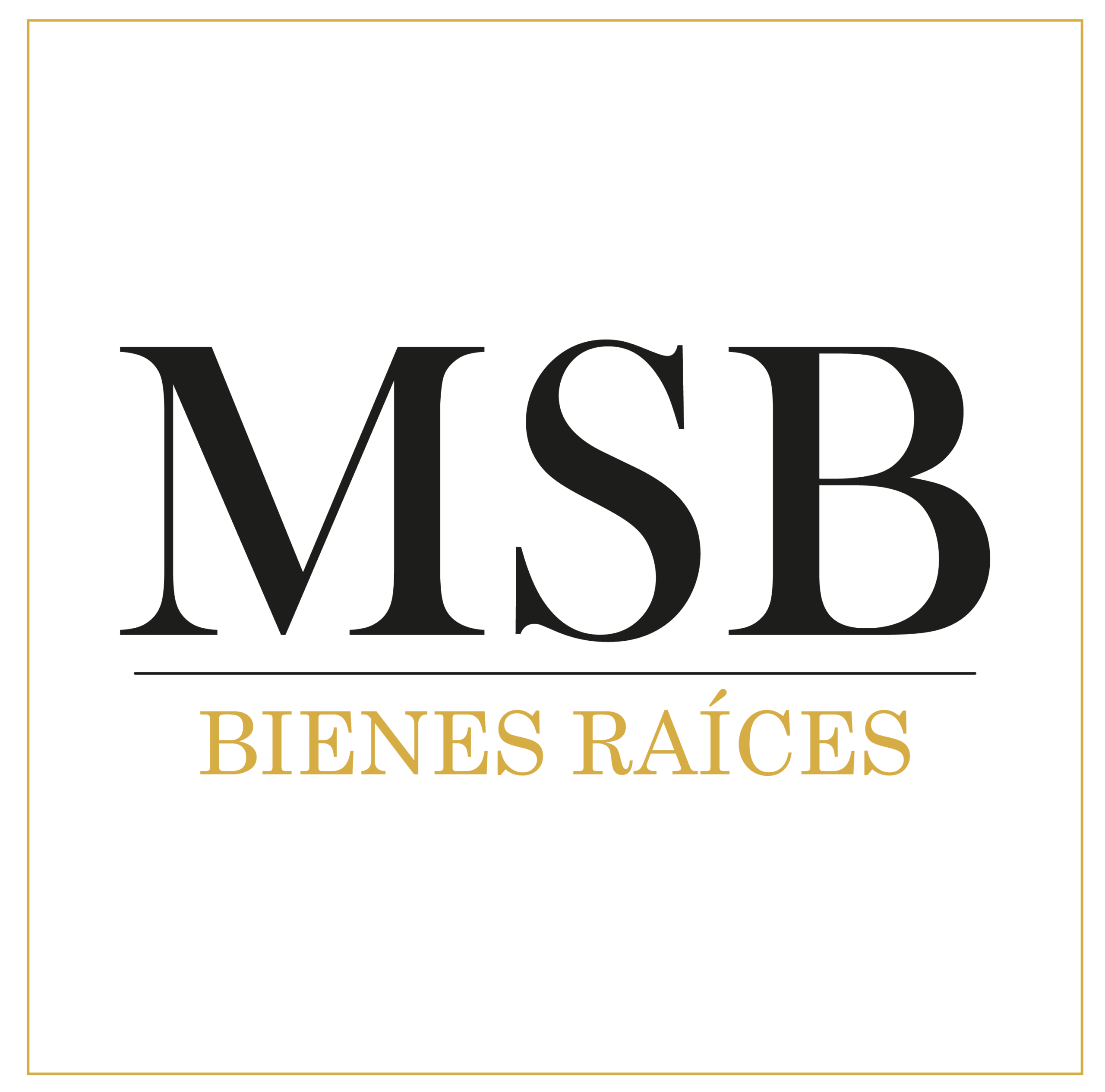 msb logo