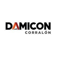 damicom logo