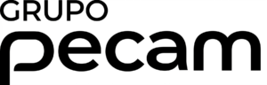 logo pecam